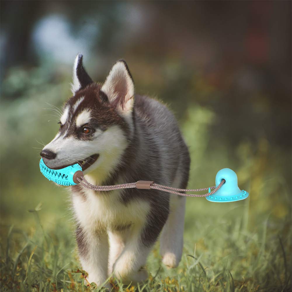 Dog Silicon Suction Feeding Cup Toy - Safe Items For Pets