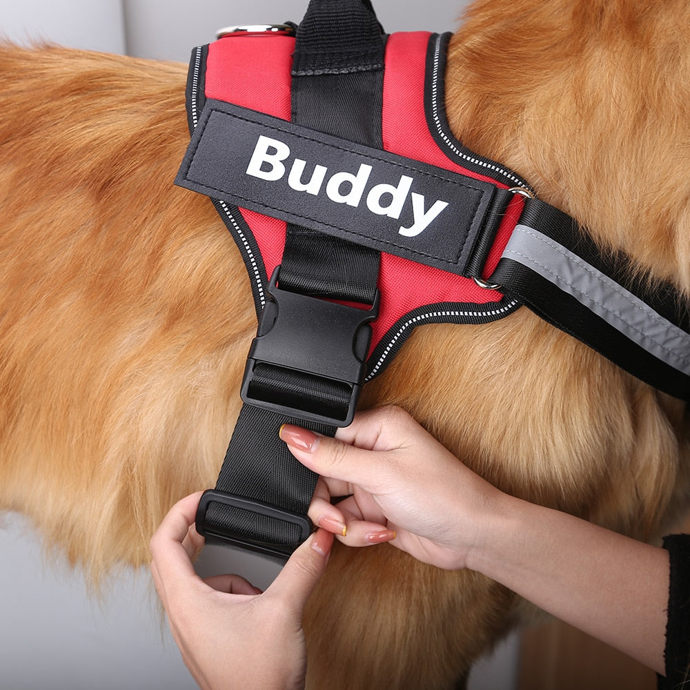 Personalized Dog Harness Reflective - Safe Items For Pets